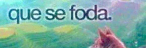 ElTacoChido banner