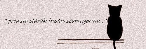 Sitnaons's profile banner image