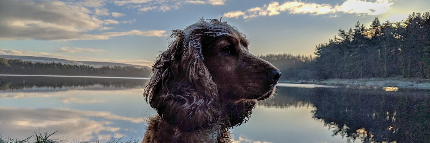 smatt73's profile banner image