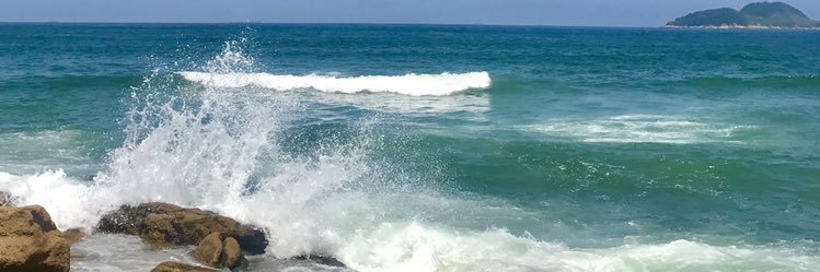Lusca banner