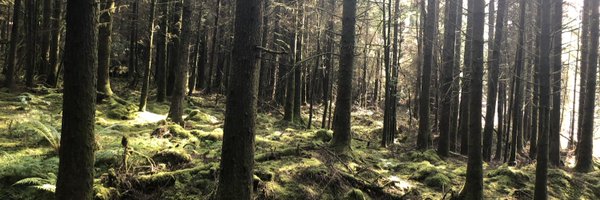 JacWard7 Profile Banner