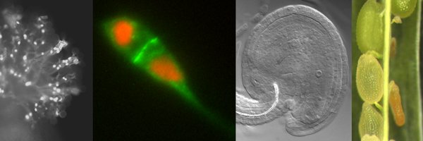 boavida_lab Profile Banner