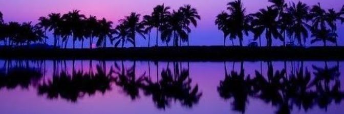 _MaisAlem's profile banner image