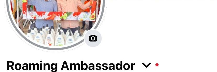 Roaming Ambassador🏖🍜✈️'s banner