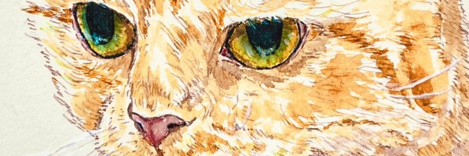 taruiwa's profile banner image