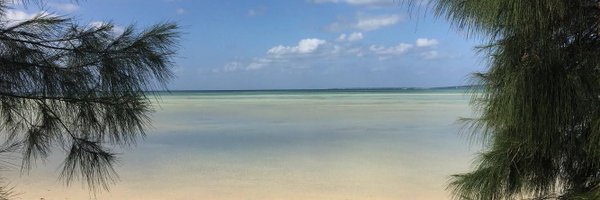 Yasunobu_Ishii Profile Banner