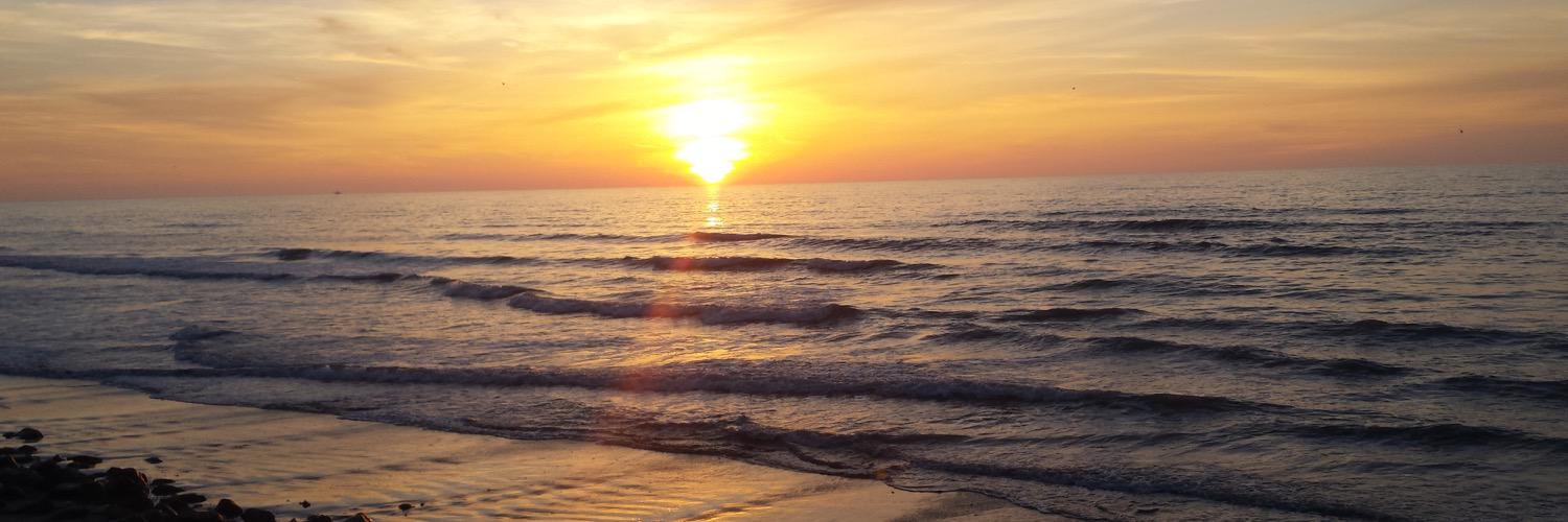 heather davenport banner