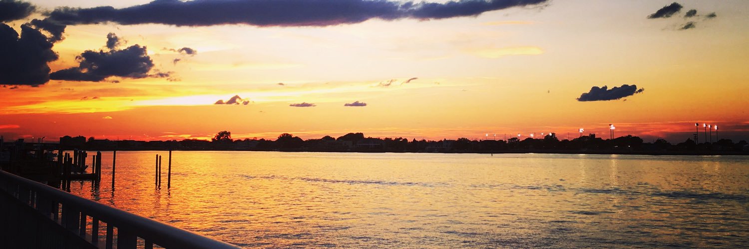 adeleness's profile banner image