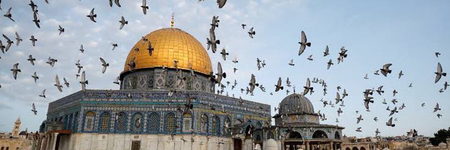 هذيان قلم banner