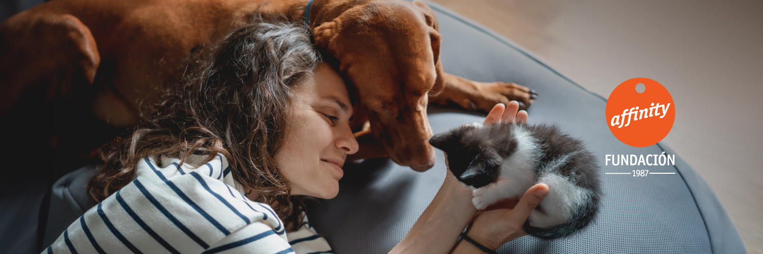 Fundacion Affinity banner