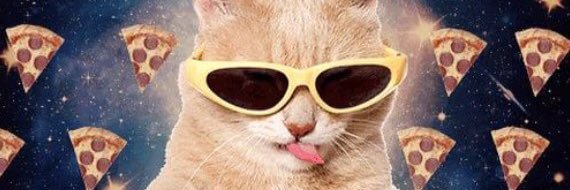 linneathulin's profile banner image