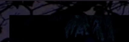 FROZEIIDEATH's profile banner image