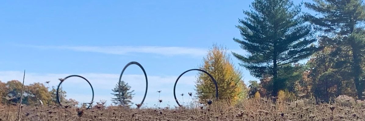 Michael Lepore banner