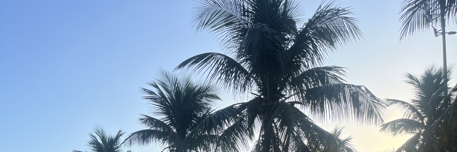 MilaneSoares2's profile banner image
