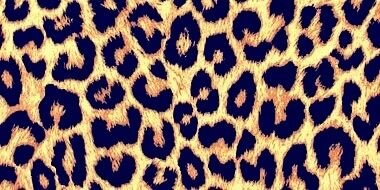 Michell_GRH's profile banner image