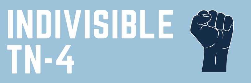 Indivisible TN-4 banner