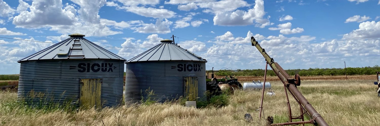 nips 🏴‍☠️ banner