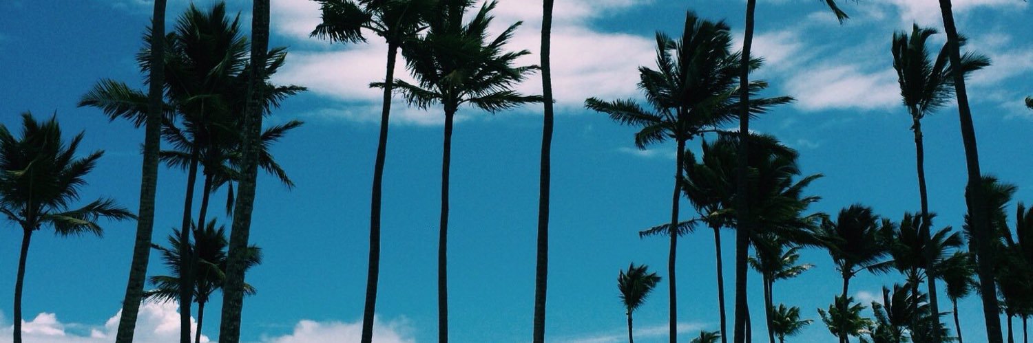 Slnnstllr_'s profile banner image