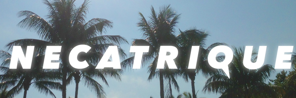 Necatrique's profile banner image