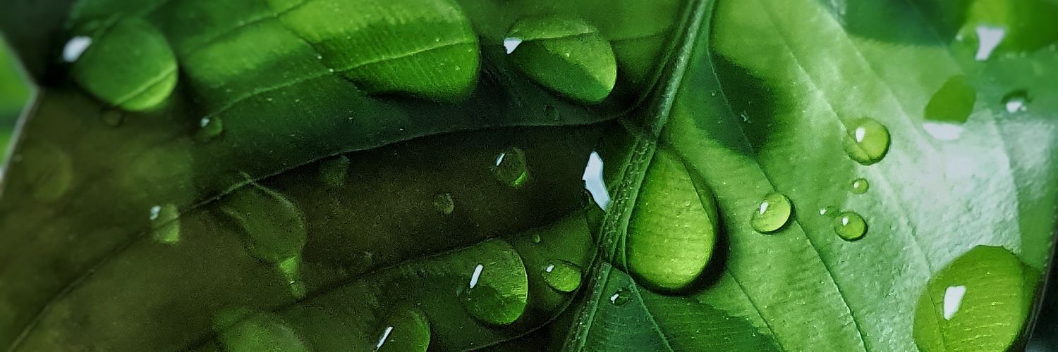 samuelperfil's profile banner image