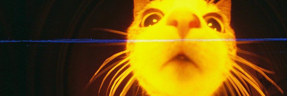 proclarstinate's profile banner image