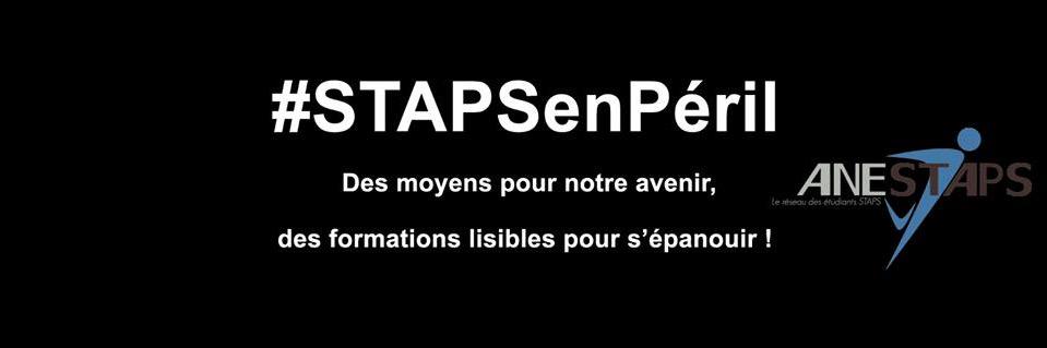 InitiativeStaps banner