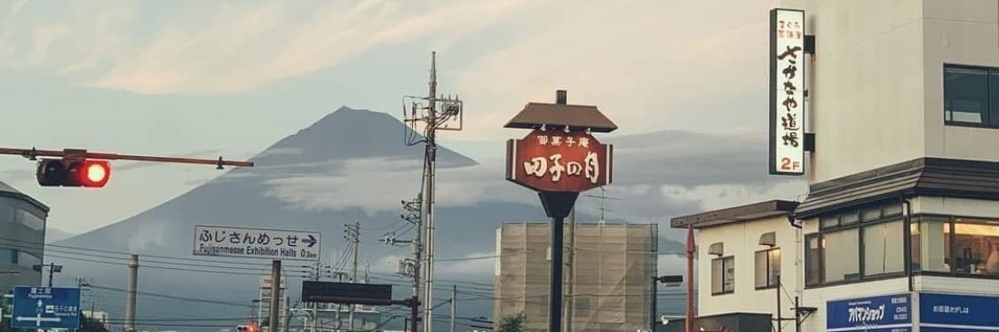 sophie banner