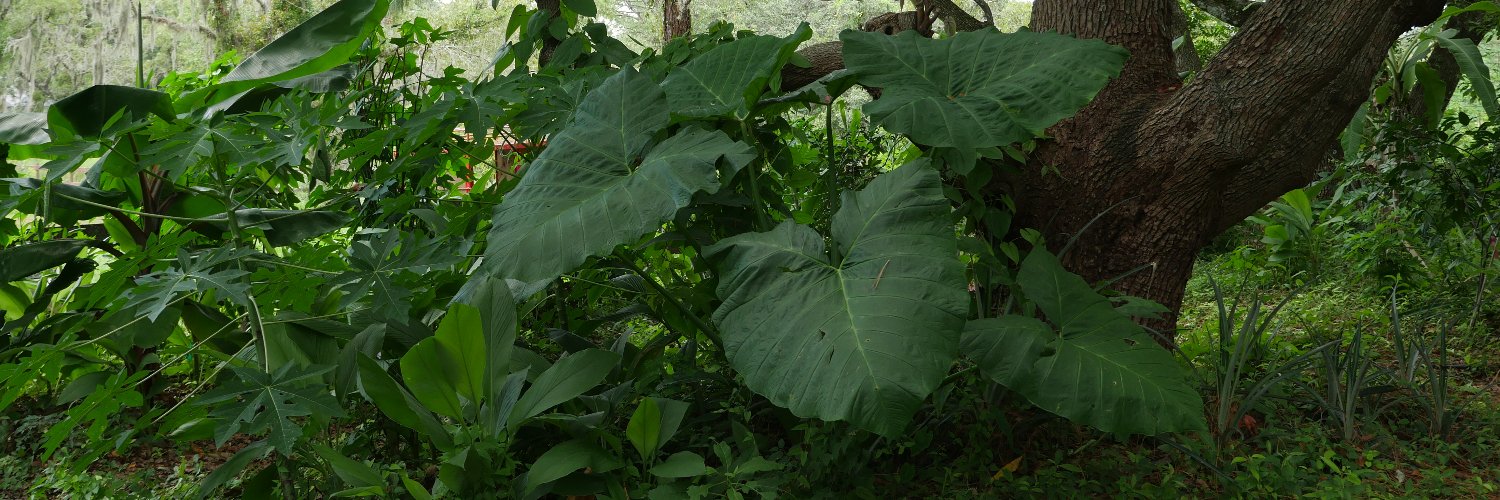 GrowPermacultur's profile banner image