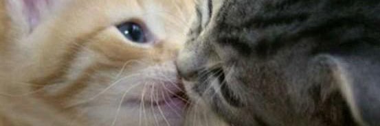 vioIentwaves's profile banner image