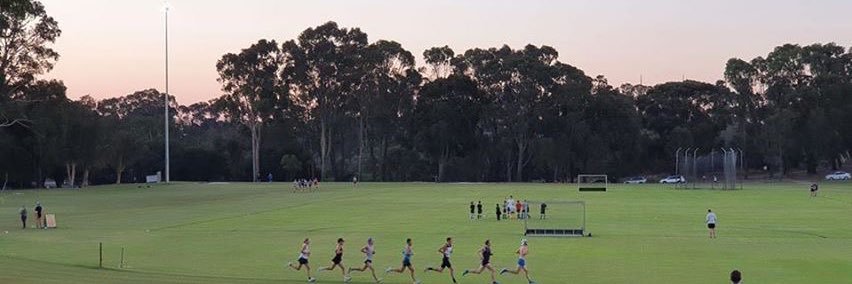 Matthew Ramsden banner