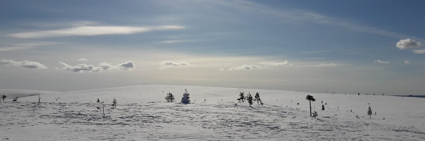 Mikko Mäkinen 🇫🇮🇪🇺 🇺🇦🕊 banner