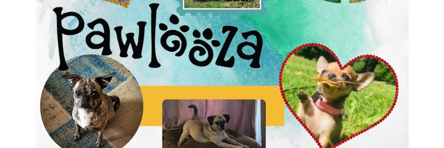 pawlooza's profile banner image