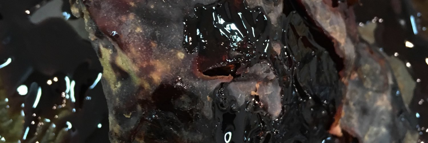 KyraPape's profile banner image