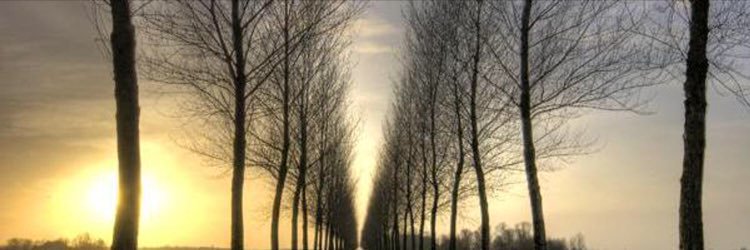 AshleyWinn01's profile banner image