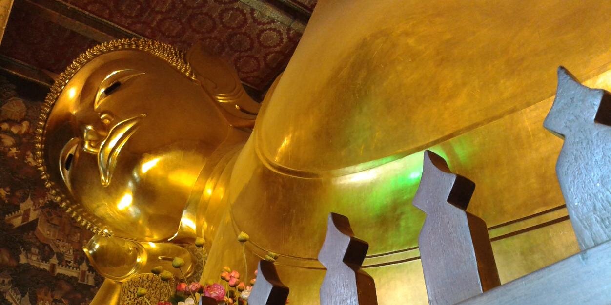 lidiabatak's profile banner image