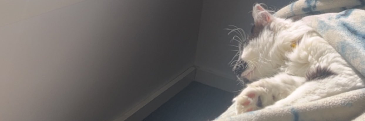 skykoiz's profile banner image