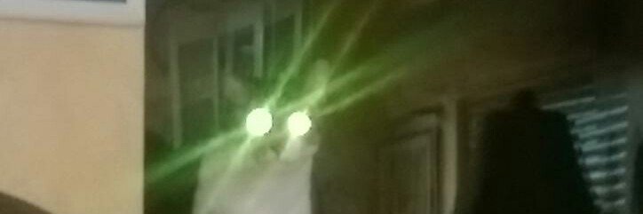 ray banner