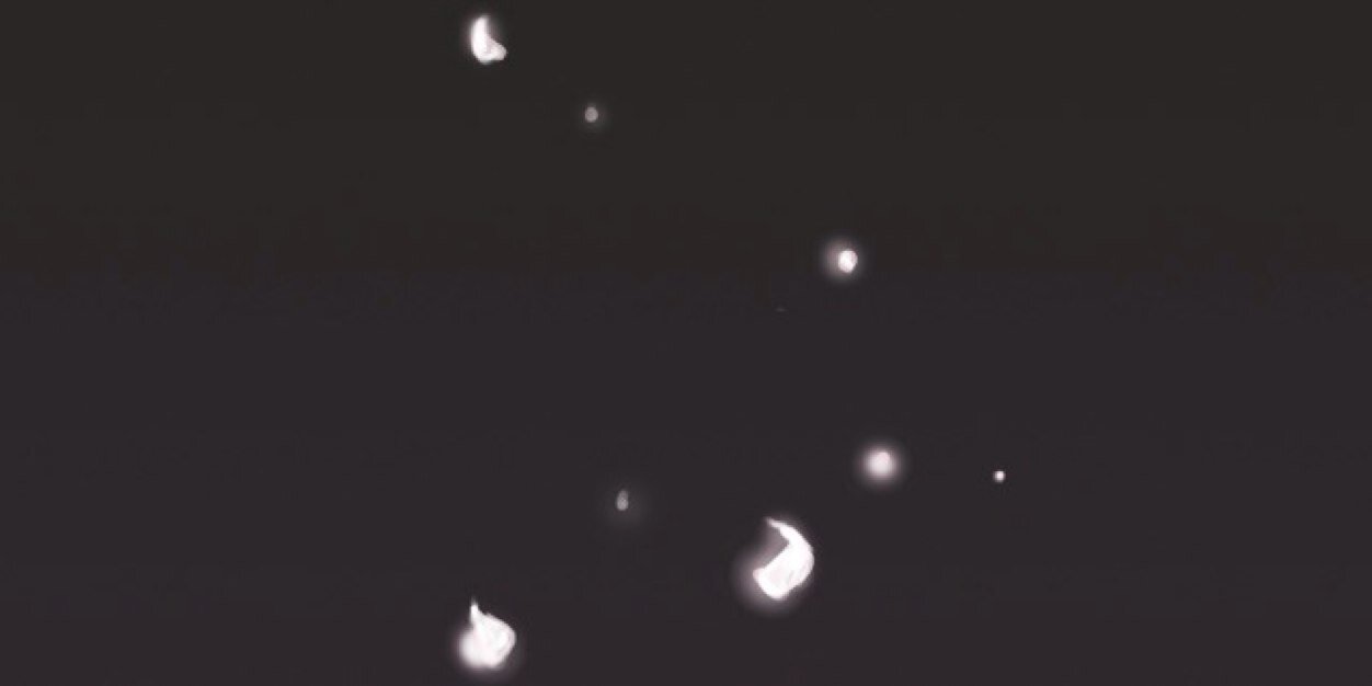 Daniel Wilson banner