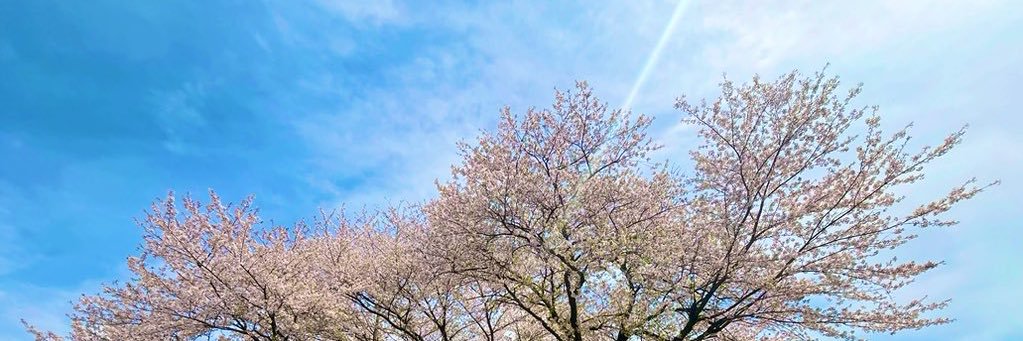 山本あやめ banner