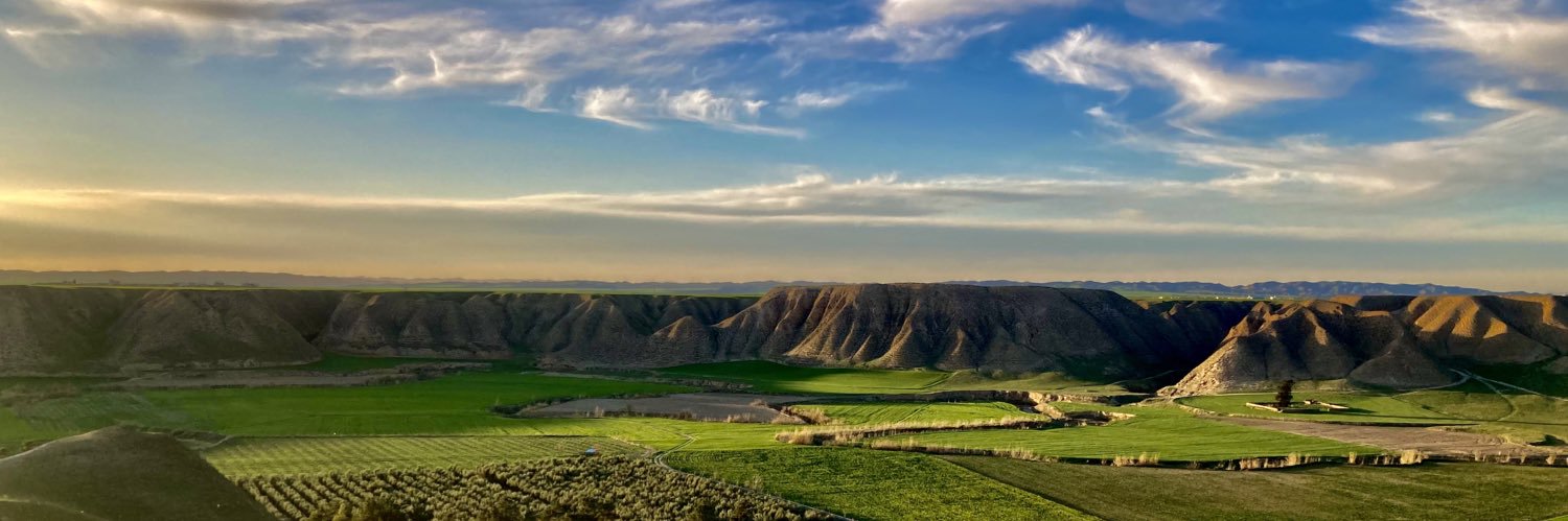 Ramin Nafaspour banner