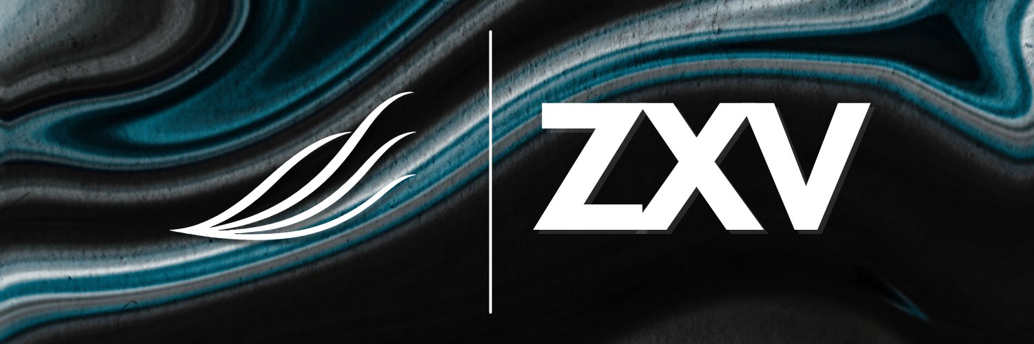 ZXVFinance's profile banner image