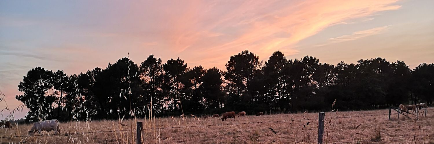 Aourell35's profile banner image
