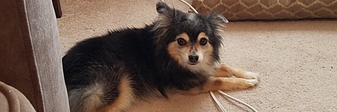 cassiemcdaniel's profile banner image