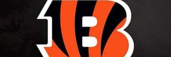 delphst Profile Banner