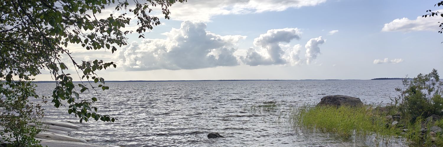 Timo Joki banner