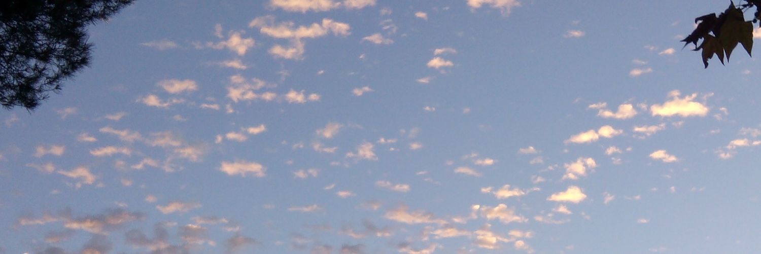 Arual0803's profile banner image