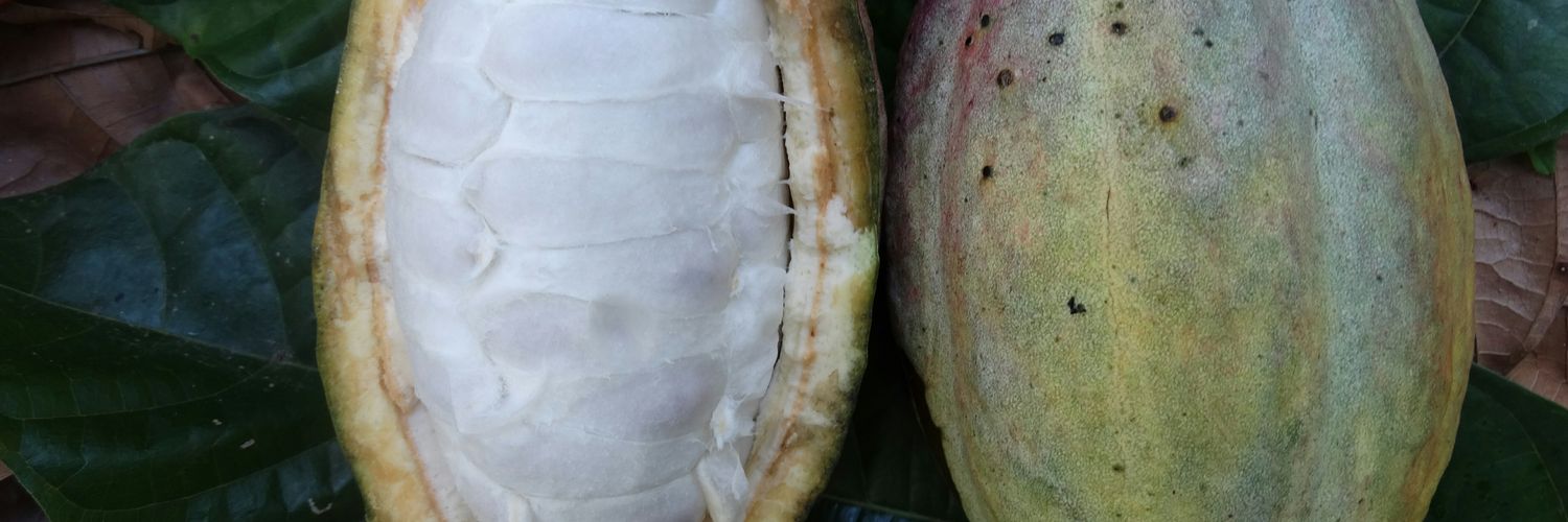 Chocolats Halba HN banner