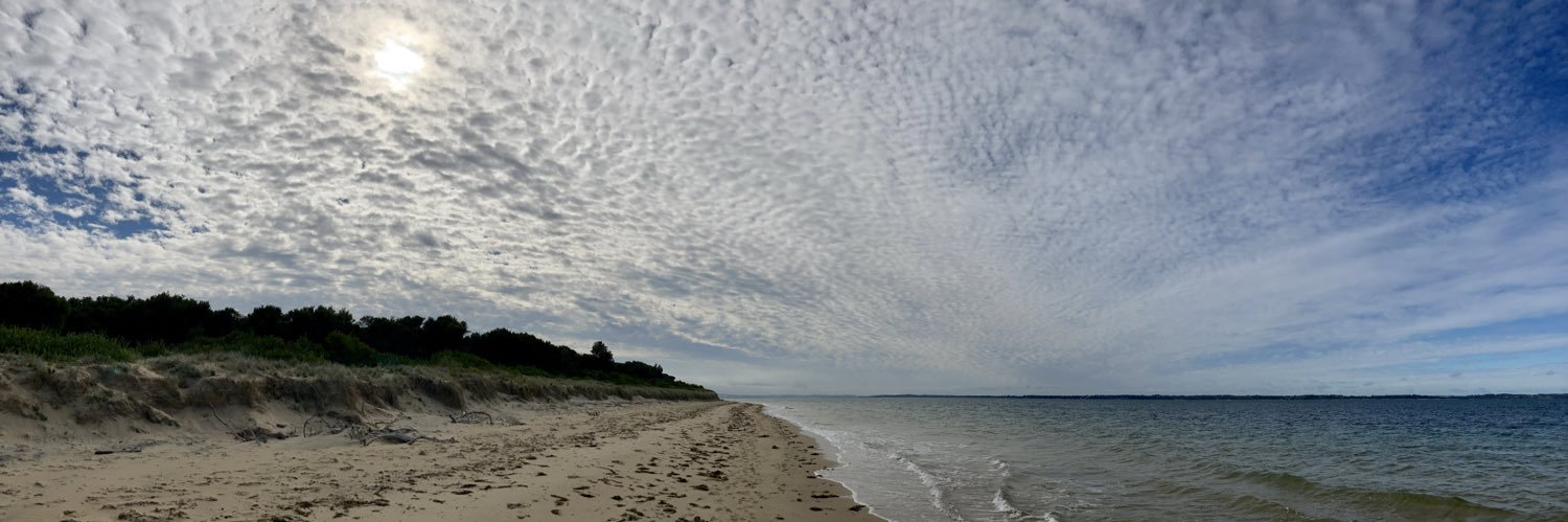 Doug Lynch MD MPH banner