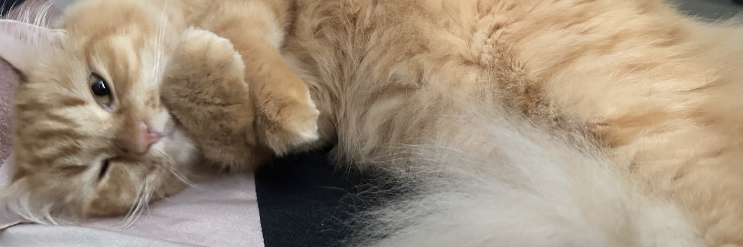 ochaak's profile banner image