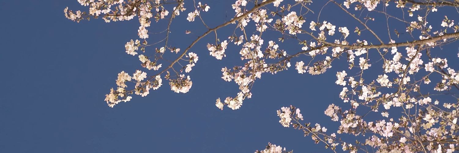kii_ryou's profile banner image